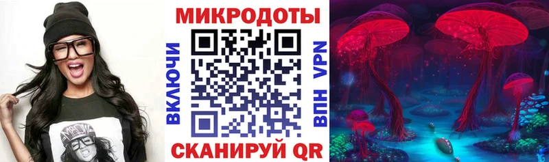 купить наркоту Перевоз Галлюциногенные грибы Psilocybe